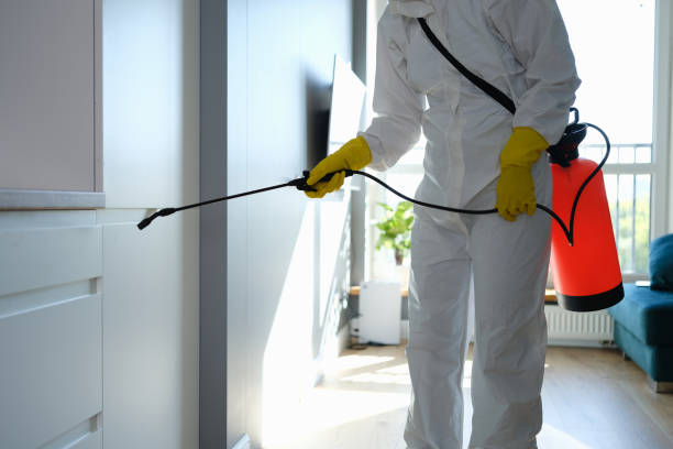 Best HVAC Mold Remediation in Mercer Island, WA