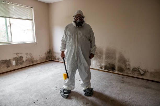 Best Post-Flood Mold Remediation in Mercer Island, WA